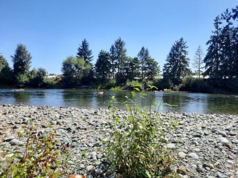 River at Coleman RV