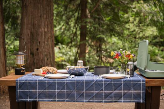 picnic table with table cloth