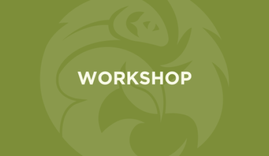 graphic that says workshop with green background