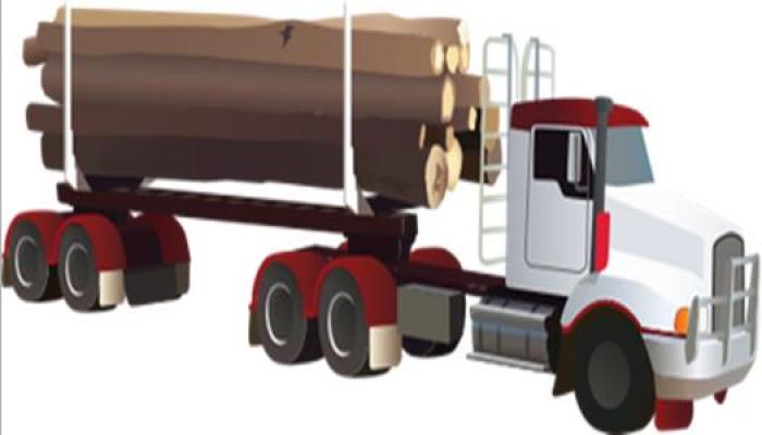 Don Woodfin Log Transport