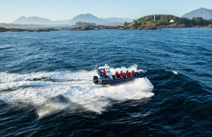 Jamie's Whaling Station & Adventure Centres - Ashley Hoyland